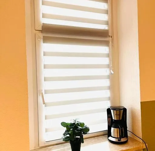 Apartment Monteurswohnung An Der Mulde *